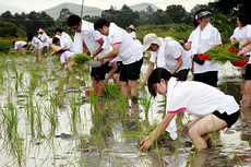 2012 - 塱原水稻插秧活動