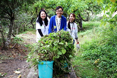 2013起 - 米埔自然護理區清除薇甘菊義工活動