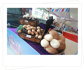 6月 AEON荔枝角店